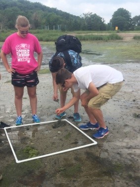Marine Studies Enrichment Program